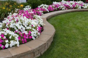 Professionally Installed Paver Borders for Your Backyard and Garden pavers