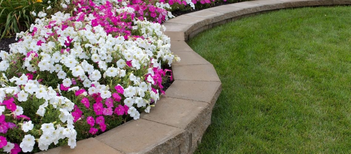 Professionally Installed Paver Borders for Your Backyard and Garden pavers